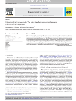 Mitochondrial Homeostasis: the Interplay Between Mitophagy and Mitochondrial Biogenesis