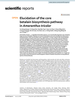 Elucidation of the Core Betalain Biosynthesis Pathway In