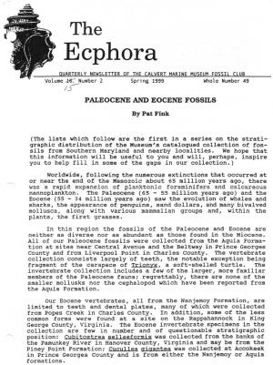 Ecphora QUARTERLY NEWSLETTER of the CALVERT MARINE MUSEUM FOSSIL CLUB Volume /5~ Number 2 Spring 1999 Whole Number 49 PALEOCENE and EOCENE FOSSILS
