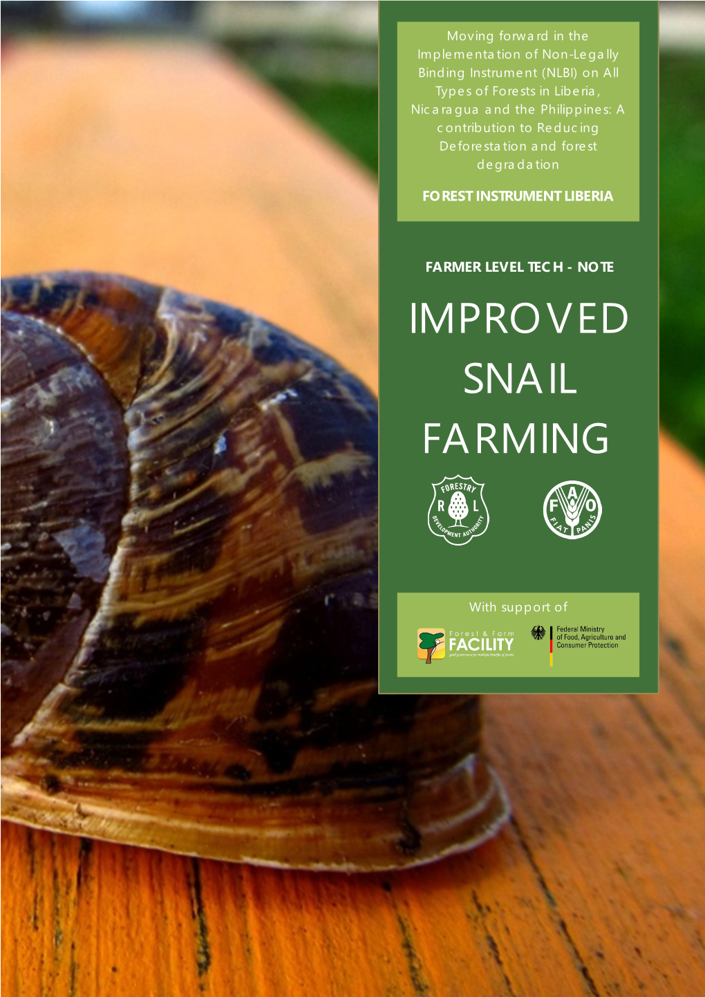 Improved Snails Farming