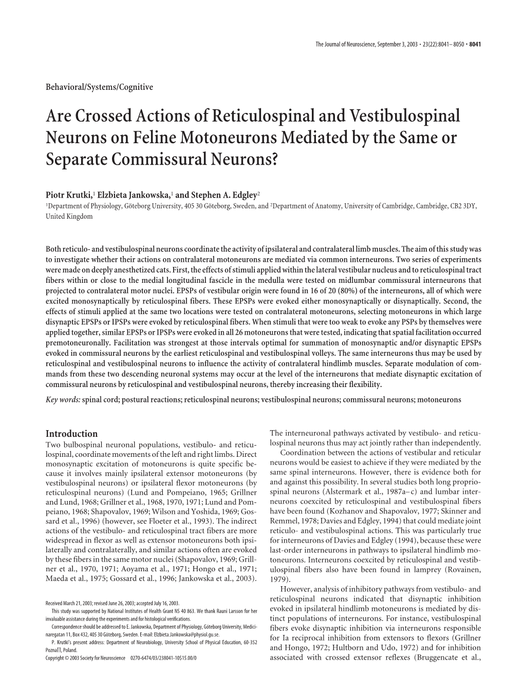 Are Crossed Actions of Reticulospinal and Vestibulospinal Neurons on Feline Motoneurons Mediated by the Same Or Separate Commissural Neurons?