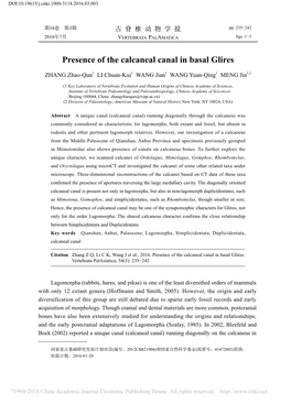 Presence of the Calcaneal Canal in Basal Glires