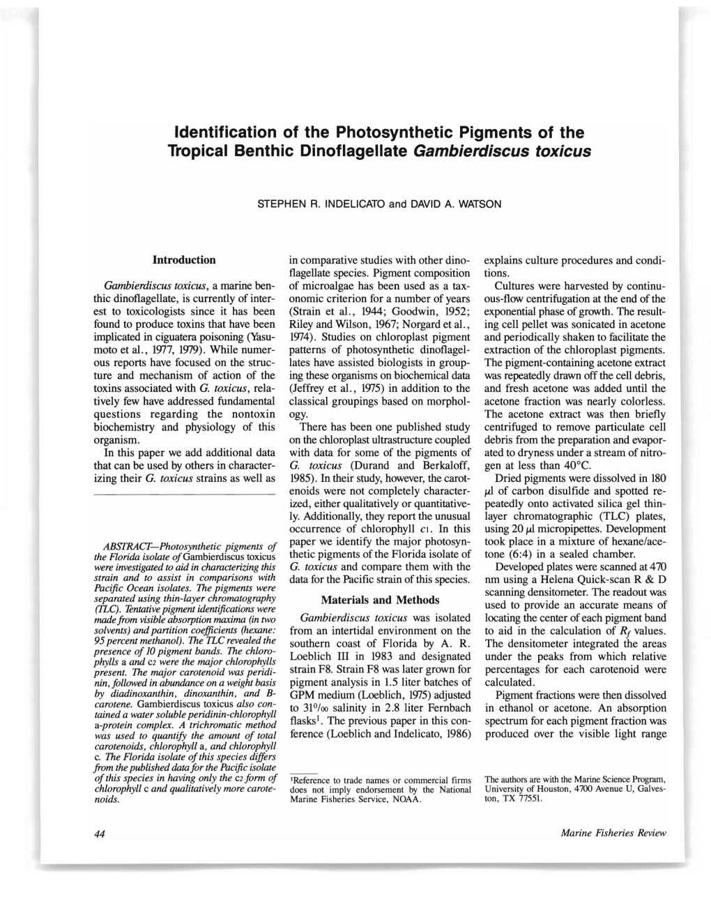 Identification of the Photosynthetic Pigments of the Tropical Benthic Dinoflagellate Gambierdiscus Toxicus