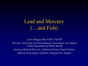 Lead and Mercury (…And Fish)