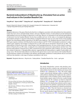 Bacterial Endosymbiont of Oligobrachia Sp. (Frenulata) from an Active Mud Volcano in the Canadian Beaufort Sea