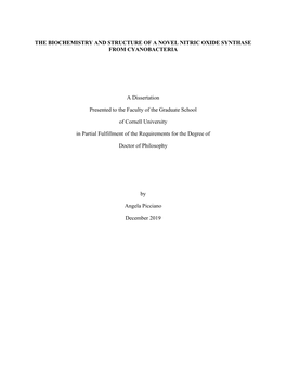 The Biochemistry and Structure of a Novel Nitric Oxide Synthase from Cyanobacteria