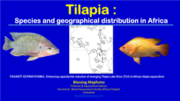 Tilapia Species and Geographical Distribution in Africa