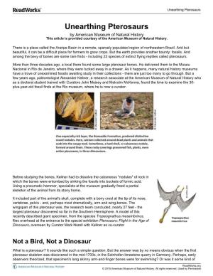Unearthing Pterosaurs