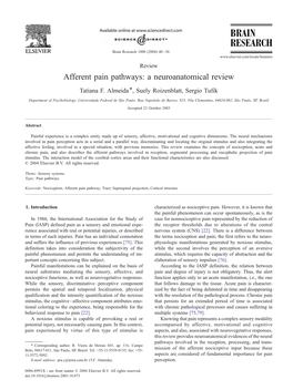 Afferent Pain Pathways: a Neuroanatomical Review