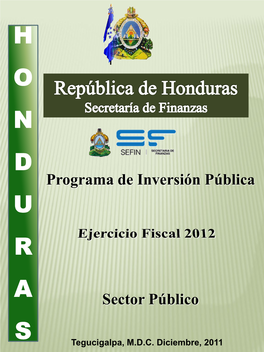 Programa De Inversión Pública Sector Público