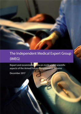 The Independent Medical Expert Group (IMEG)