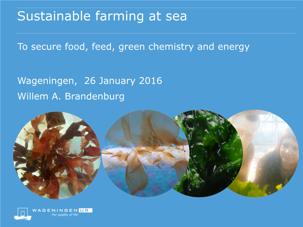 Sustainable Farming at Sea