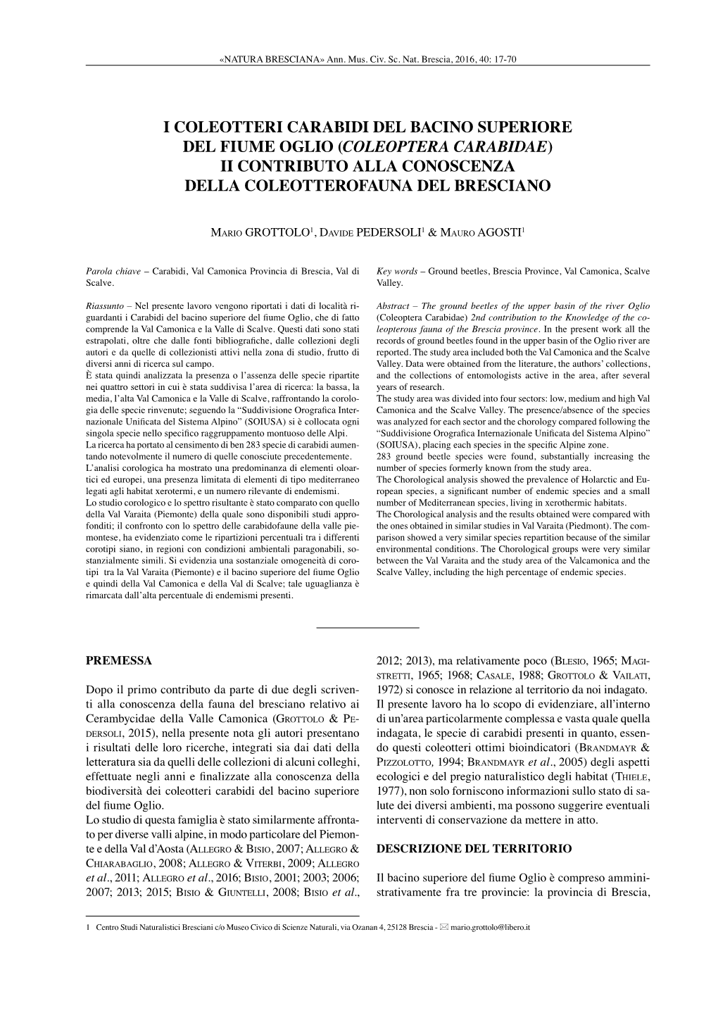 Coleoptera Carabidae) Ii Contributo Alla Conoscenza Della Coleotterofauna Del Bresciano