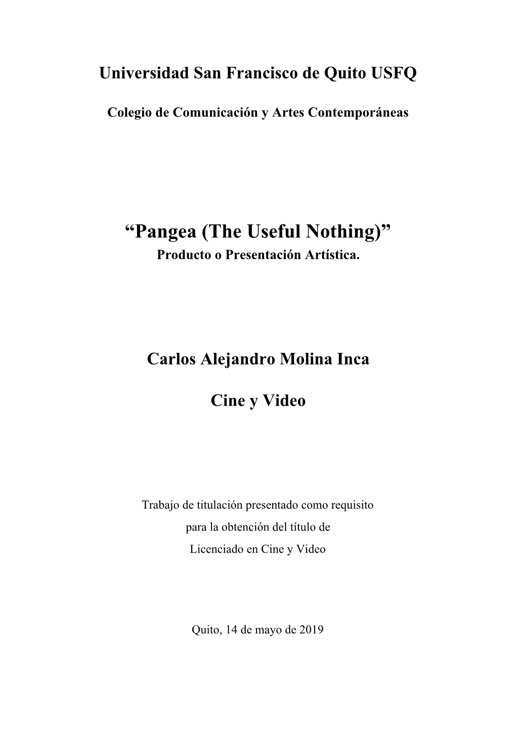 “Pangea (The Useful Nothing)” Producto O Presentación Artística