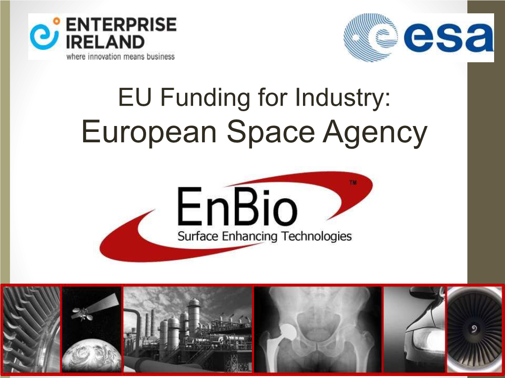 European Space Agency Company Snapshot