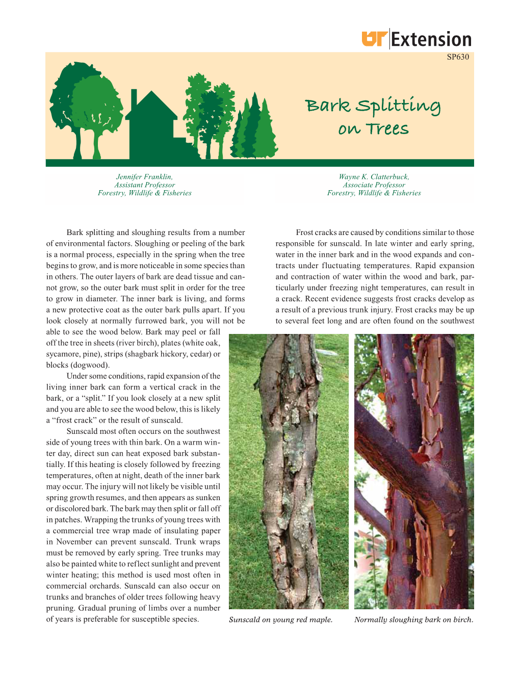 Bark Splitting on Trees