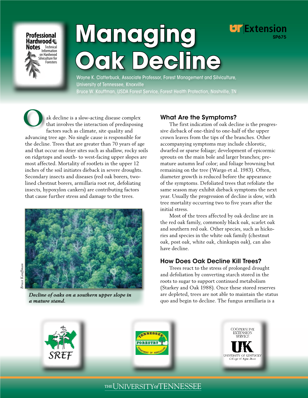 Managing Oak Decline