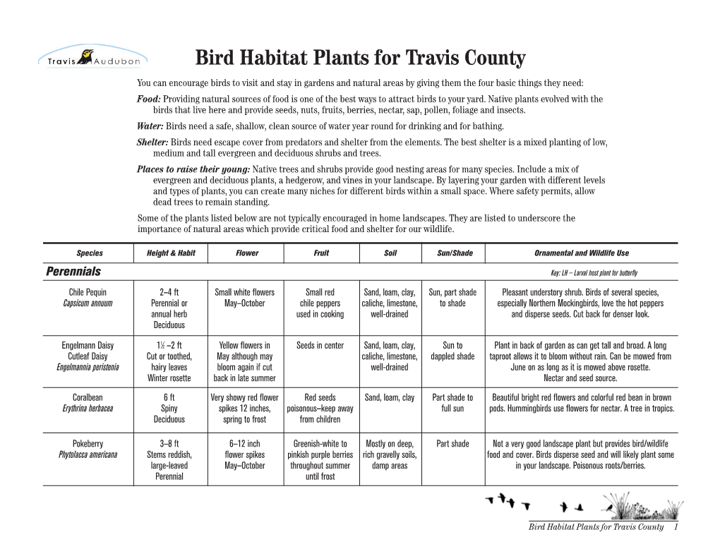 Bird Habitat Plants for Travis County