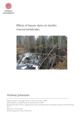 Effects of Beaver Dams on Benthic Macroinvertebrates