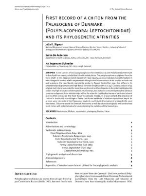 First Record of a Chiton from the Palaeocene of Denmark (Polyplacophora: Leptochitonidae) and Its Phylogenetic Afﬁnities