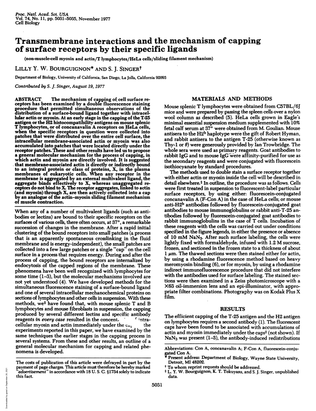 Transmembrane Interactions and Themechanism of Capping