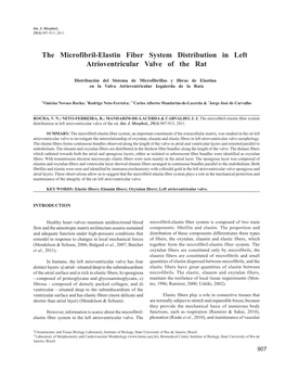 The Microfibril-Elastin Fiber System Distribution in Left Atrioventricular Valve of the Rat