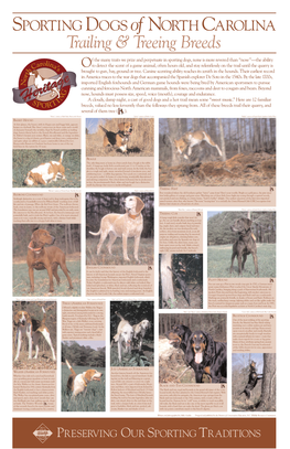 Sporting Dog Poster 2