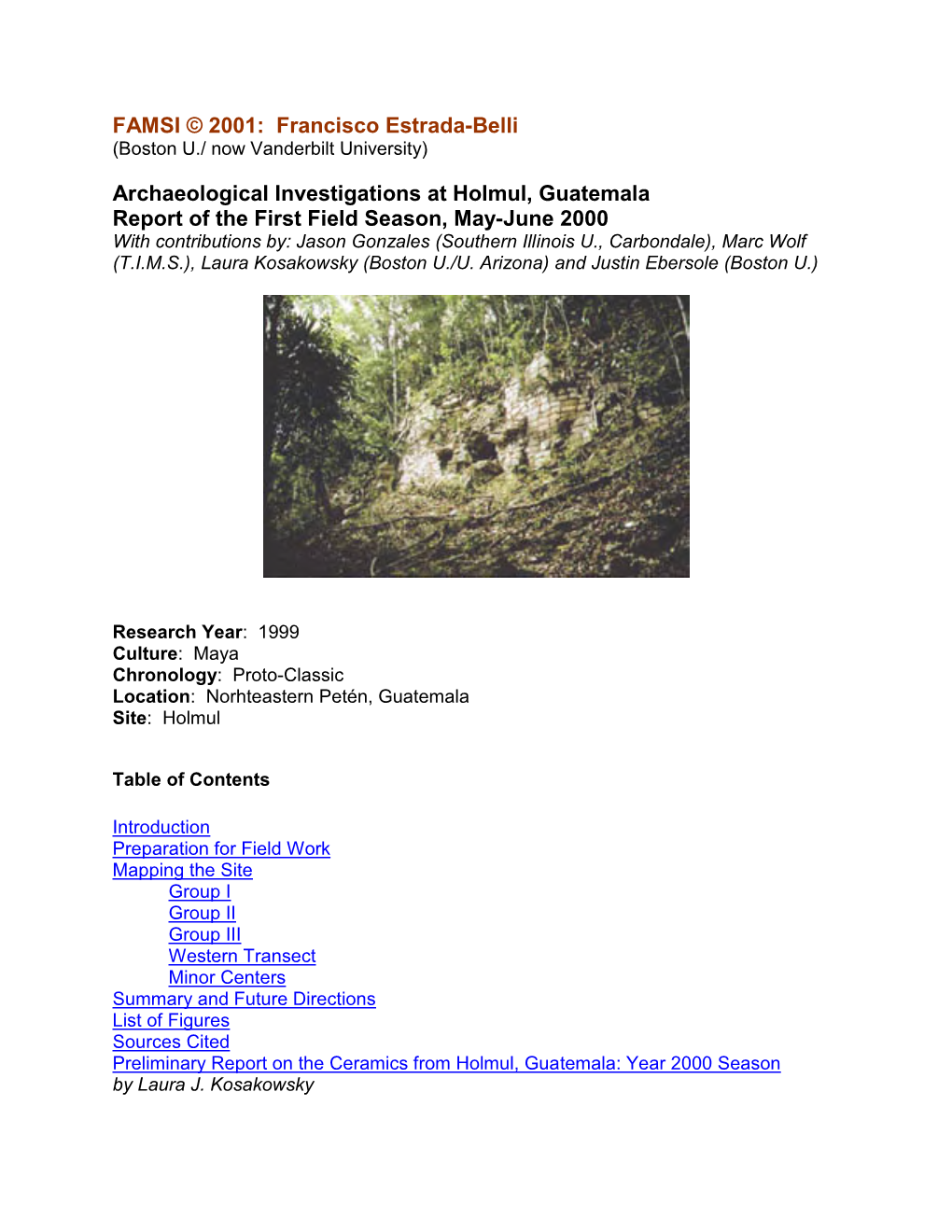 Archaeological Investigations at Holmul, Guatemala Report