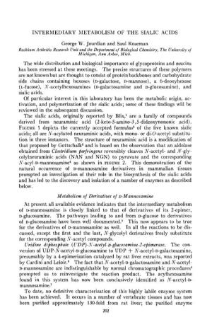 INTERMEDIARY METABOLISM of the SIALIC ACIDS George W