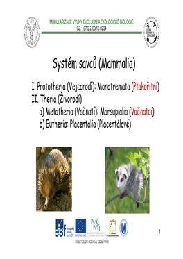 Systém Savců (Mammalia)