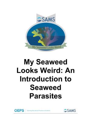 An Introduction to Seaweed Parasites