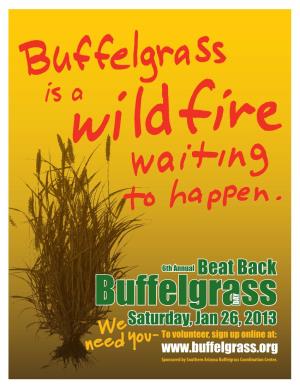 Buffelgrass.Org Sponsored by Southern Arizona Buffelgrass Coordination Center