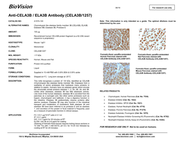 Anti-CELA3B / ELA3B Antibody (CELA3B/1257)