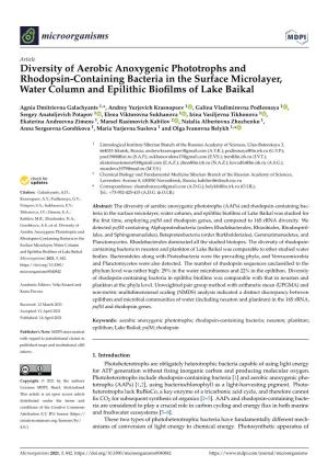 Diversity of Aerobic Anoxygenic Phototrophs and Rhodopsin-Containing Bacteria in the Surface Microlayer, Water Column and Epilithic Bioﬁlms of Lake Baikal