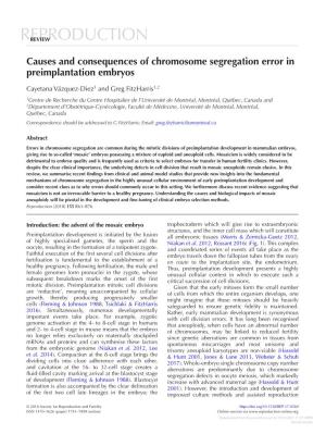 Causes and Consequences of Chromosome Segregation Error in Preimplantation Embryos