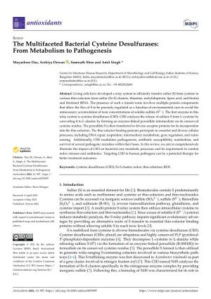 The Multifaceted Bacterial Cysteine Desulfurases: from Metabolism to Pathogenesis