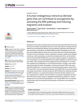 A Human Endogenous Retrovirus-Derived Gene That Can Contribute to Oncogenesis by Activating the ERK Pathway and Inducing Migration and Invasion
