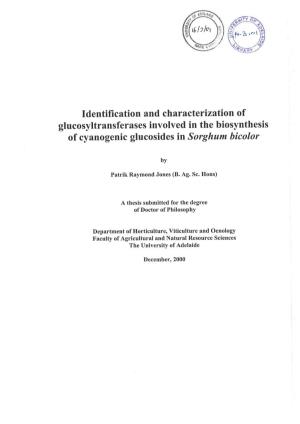 Identification and Characterization of Glucosyltransferases Involved in The