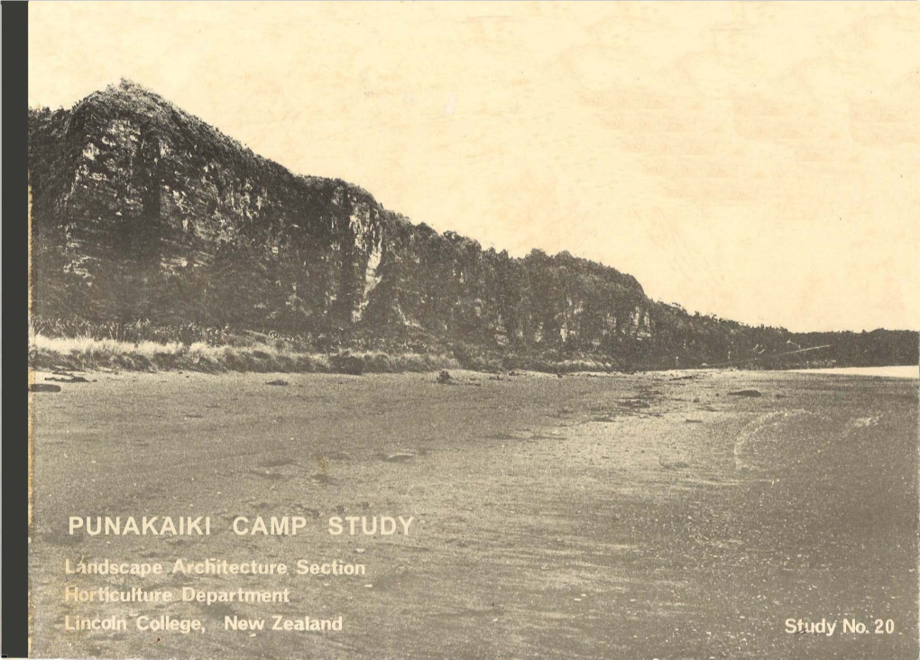 Punakaiki Camp Ground Landscape Study