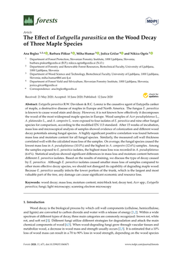 The Effect of Eutypella Parasitica on the Wood Decay of Three Maple