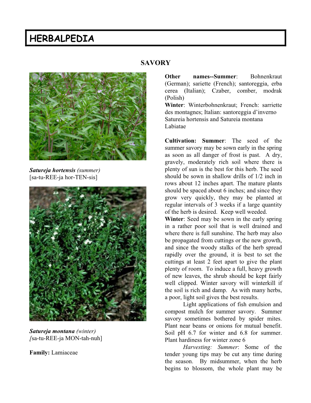 Summer Savory May Be Sown Early in the Spring As Soon As All Danger of Frost Is Past