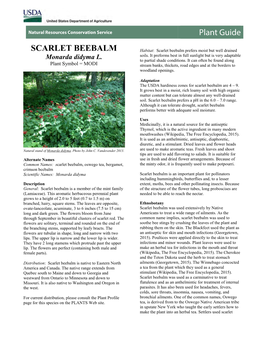 (Monarda Didyma) Plant Guide