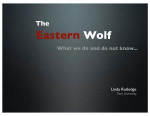 Eastern Wolf What We Do and Do Not Know