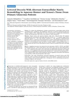 Lowered Decorin with Aberrant Extracellular Matrix Remodeling in Aqueous Humor and Tenon’S Tissue from Primary Glaucoma Patients