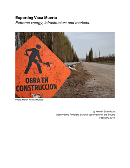 Exporting Vaca Muerta Extreme Energy, Infrastructure and Markets