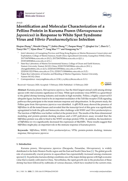 (Marsupenaeus Japonicus) in Response to White Spot Syndrome Virus and Vibrio Parahaemolyticus Infection