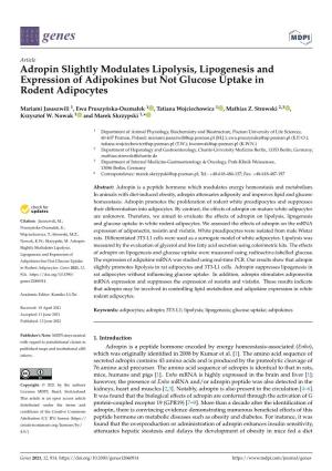 Adropin Slightly Modulates Lipolysis, Lipogenesis and Expression of Adipokines but Not Glucose Uptake in Rodent Adipocytes