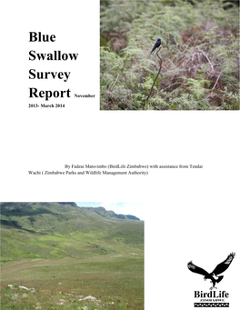 Blue Swallow Survey Report November