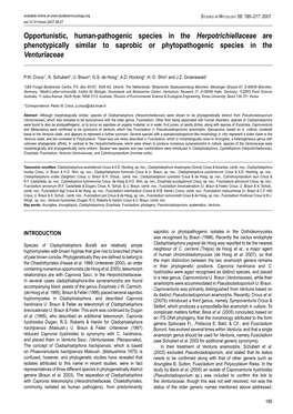 Opportunistic, Human-Pathogenic Species in the Herpotrichiellaceae Are Phenotypically Similar to Saprobic Or Phytopathogenic Species in the Venturiaceae