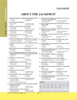 About the Jackfruit